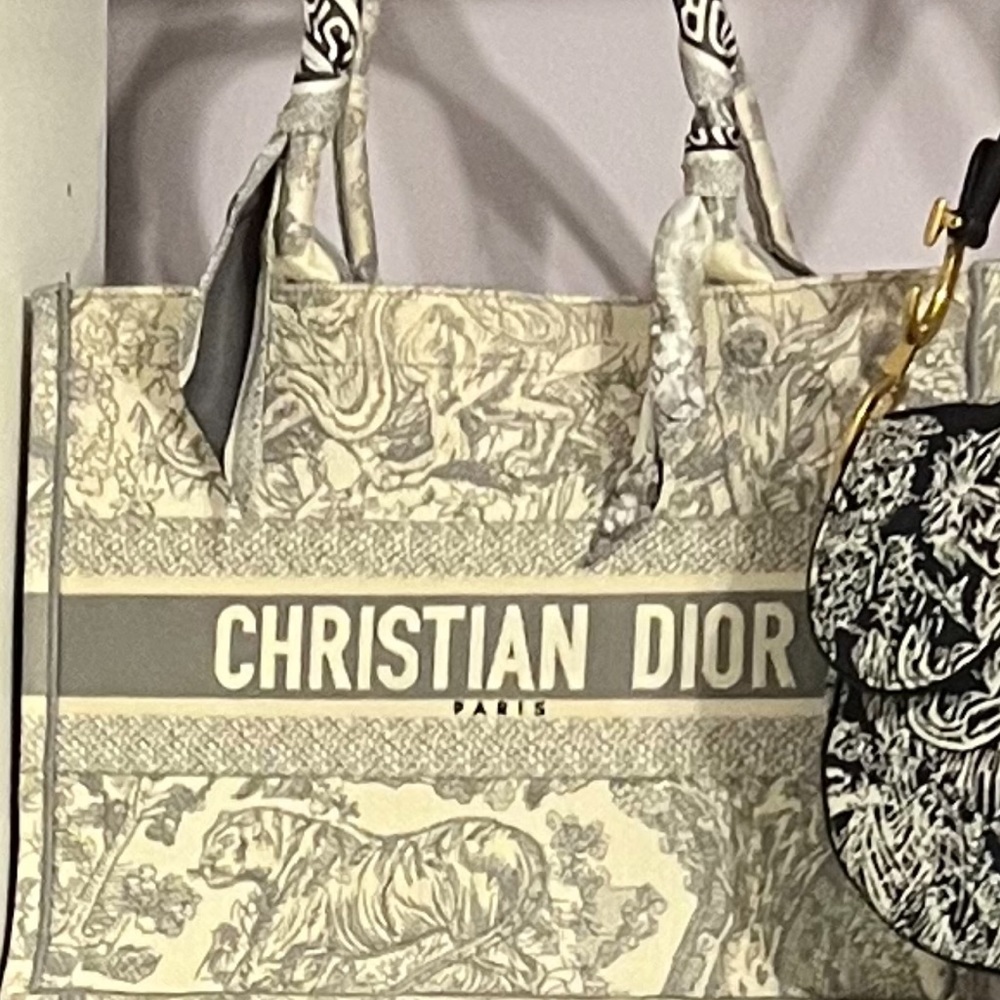 Dior Book Tote